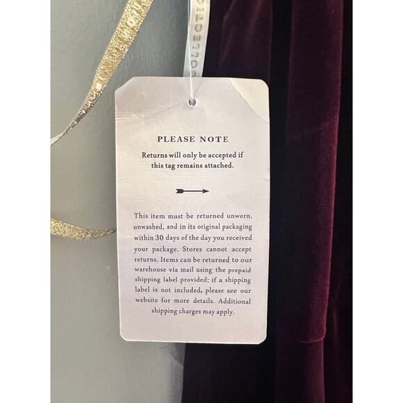 Jenny Yoo Burgundy Velvet Size 24 Ball Gown BHLDN Retail $200 - Picture 9 of 15